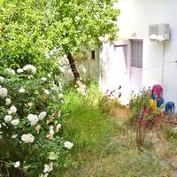 Business center in Greece, Attica, Athens, 240 sq.m.