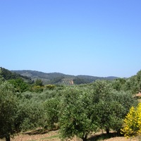 Земельный участок в Греции, Центральная Македония, Центр