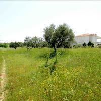 Land plot in Greece, Central Macedonia, Center