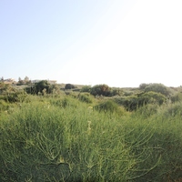 Land plot in Greece, Crete, Chania