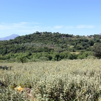 Land plot in Greece, Crete, Chania