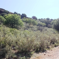 Land plot in Greece, Crete, Chania