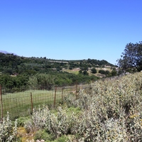 Land plot in Greece, Crete, Chania