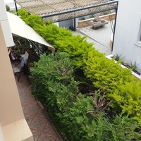 Other in Greece, Dode, 185 sq.m.