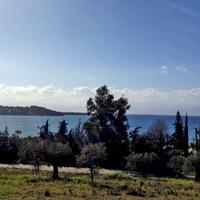 Land plot in Greece, Peloponnese