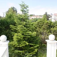 Другое в Греции, Центральная Македония, Центр, 400 кв.м.