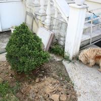 Другое в Греции, Центральная Македония, Центр, 400 кв.м.