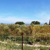 Land plot in Greece, Dode