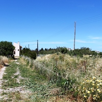 Land plot in Greece, Dode