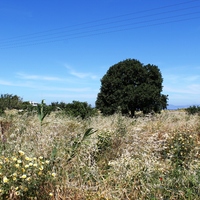 Land plot in Greece, Dode