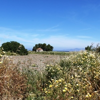 Land plot in Greece, Dode