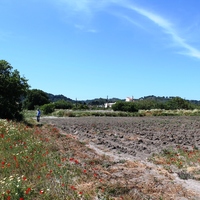 Land plot in Greece, Dode