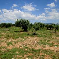 Land plot in Greece, Central Macedonia, Center, 5338 sq.m.