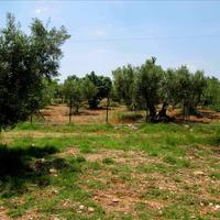 Land plot in Greece, Central Macedonia, Center, 5338 sq.m.