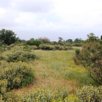 Land plot in Greece, Crete, Chania