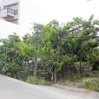 Land plot in Greece, Crete, Chania