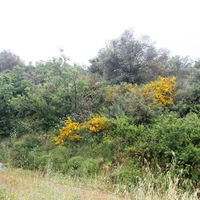 Land plot in Greece, Crete