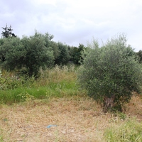 Land plot in Greece, Crete, Chania
