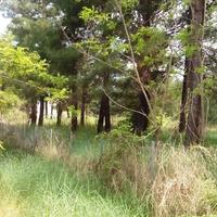 Land plot in Greece, Kavala