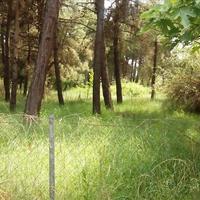 Land plot in Greece, Kavala