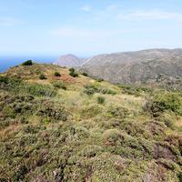 Земельный участок в Греции, Крит, 4050 кв.м.