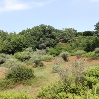 Земельный участок в Греции, Крит