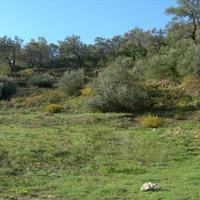 Земельный участок в Греции, Ионические острова, 2000 кв.м.