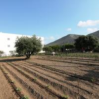 Land plot in Greece, Crete, Irakleion, 1293 sq.m.