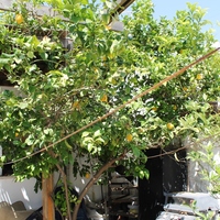 Другое в Греции, Dode, 70 кв.м.