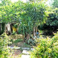 Другое в Греции, Аттика, Афины, 180 кв.м.