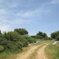 Земельный участок в Греции, Центральная Македония, Центр