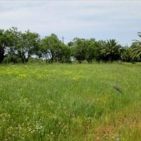 Other in Greece, Central Macedonia, Center, 200 sq.m.