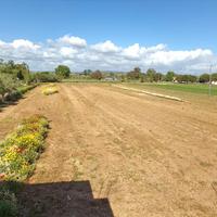 Земельный участок в Греции, Пелопоннес, Ili