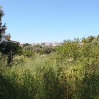 Land plot in Greece, Dode
