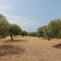 Land plot in Greece, Central Macedonia, Center, 4523 sq.m.