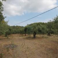 Land plot in Greece, Central Macedonia, Center, 726 sq.m.