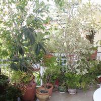 Квартира в Греции, Аттика, Афины, 180 кв.м.