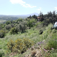 Земельный участок в Греции, Крит