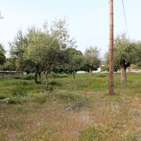 Land plot in Greece, Dode