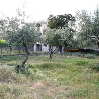 Land plot in Greece, Dode
