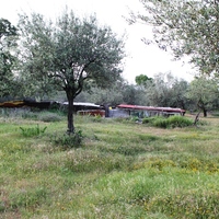 Land plot in Greece, Dode