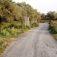 Land plot in Greece, Dode, 4000 sq.m.