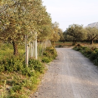 Land plot in Greece, Dode, 4000 sq.m.