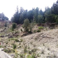 Land plot in Greece, Dode