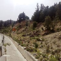 Land plot in Greece, Dode