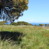 Land plot in Greece, Dode
