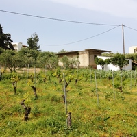 Другое в Греции, Крит, 220 кв.м.