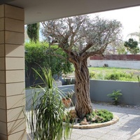 Villa in Republic of Cyprus, Eparchia Pafou, Paphos, 380 sq.m.