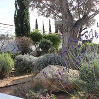 Villa in Republic of Cyprus, Eparchia Pafou, Paphos, 380 sq.m.