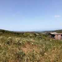 Land plot in Greece, Crete, 2000 sq.m.